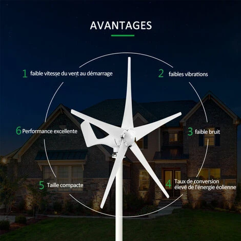 Generateur De Vent Avec Chargeur Controleur Minitype Eolienne Generateur Kit Clear Energy Moulin A Vent, 12V 1200W 5 Lames - 12V 1200W 5 Lames – Image 3